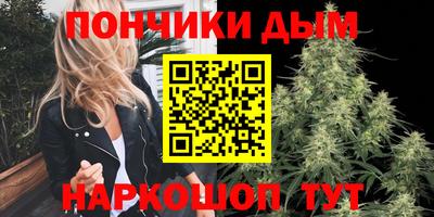 спиды Гатчина