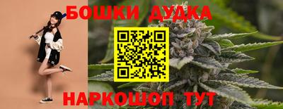 прущие крисы Гай