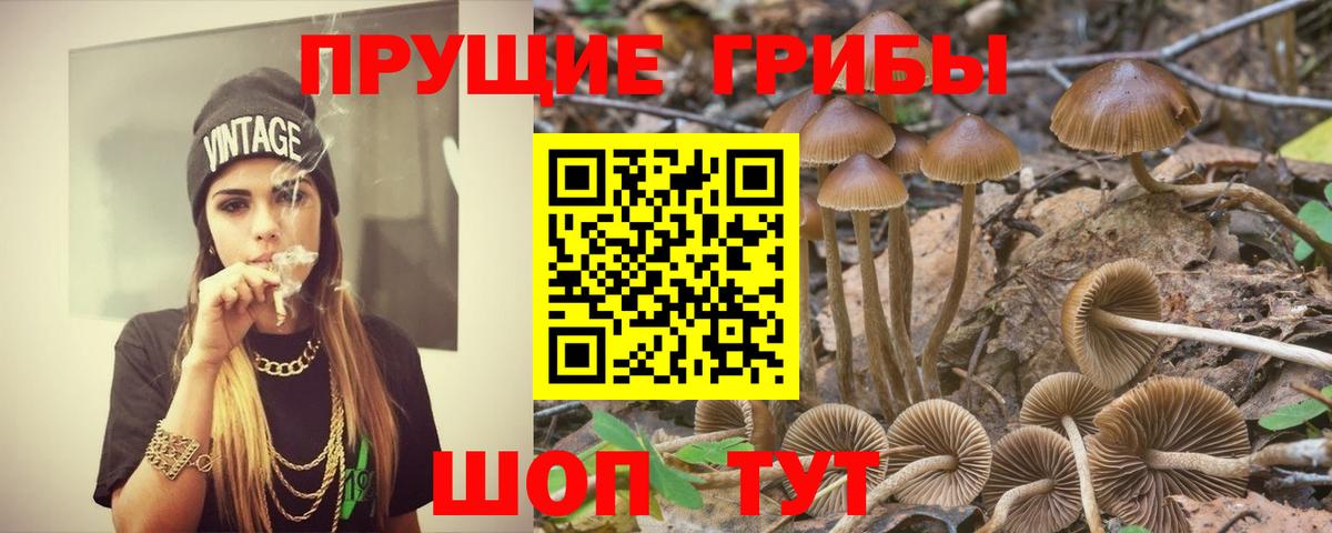 Псилоцибиновые грибы MAGIC MUSHROOMS Мурманск